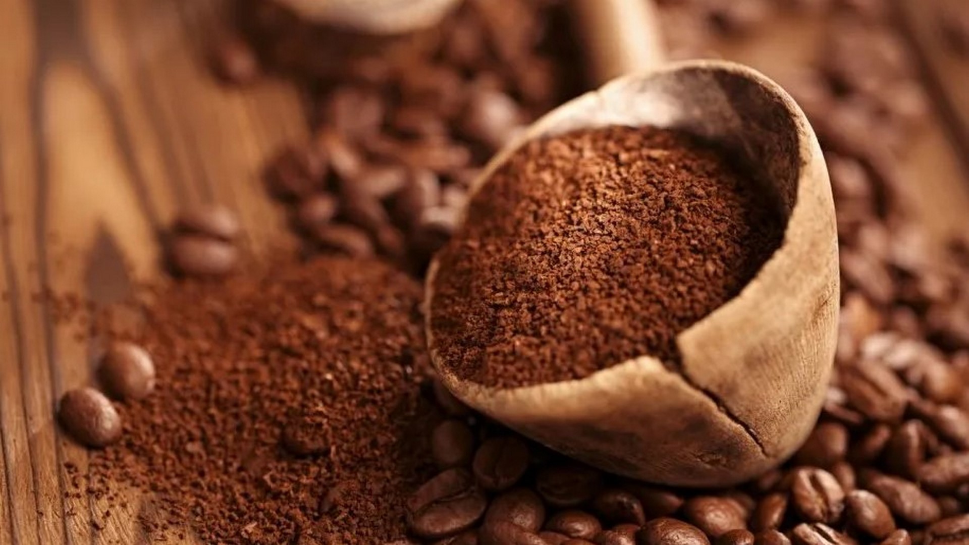 چای اولین بار از کجا وارد ایران شد؟