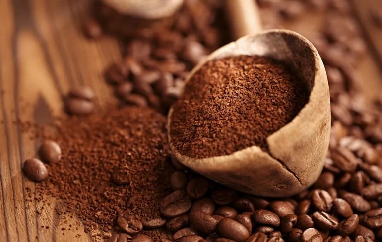 چای اولین بار از کجا وارد ایران شد؟